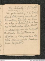 Seite 43, Tagebuch "Inzersdorf" (NHMW-PRAE-BBB-24)
